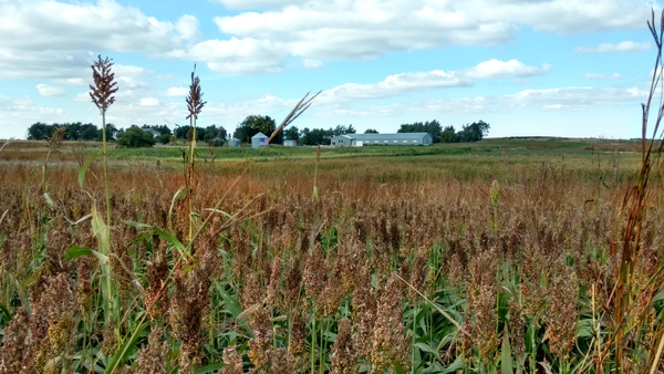 A Letter to Governor Noem